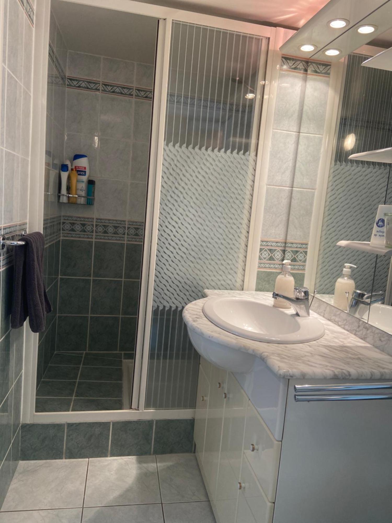 Sweet Home - 55M2 Appartment, Garden, Swimming Pool, Parking Toulouse Eksteriør bilde